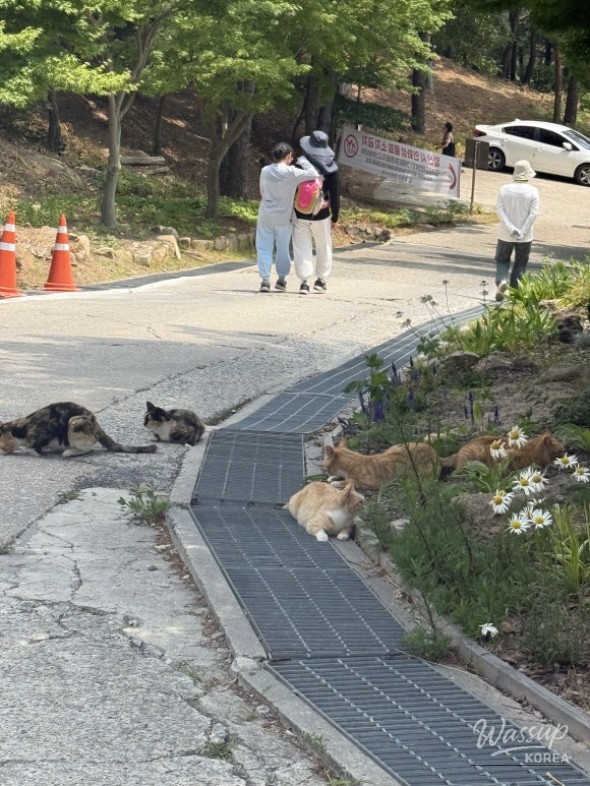 꿈같은 순간