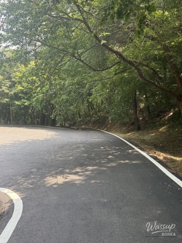 놀라운 광경