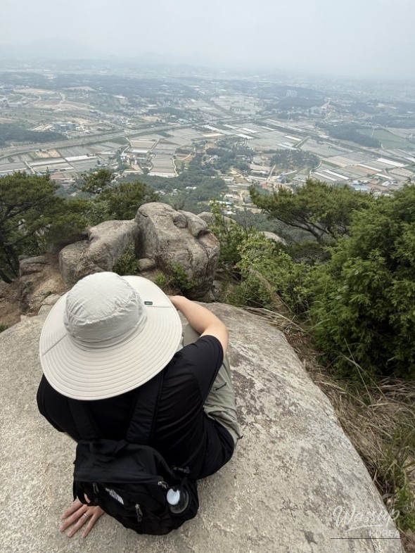 흥미로운 이미지
