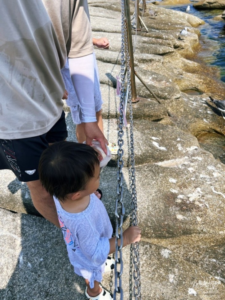 멋진 사진