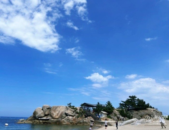 매력적인 사진
