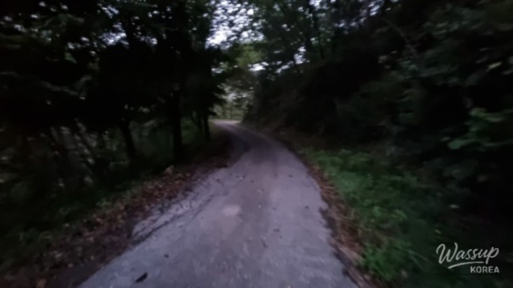 Mysterious Appearance