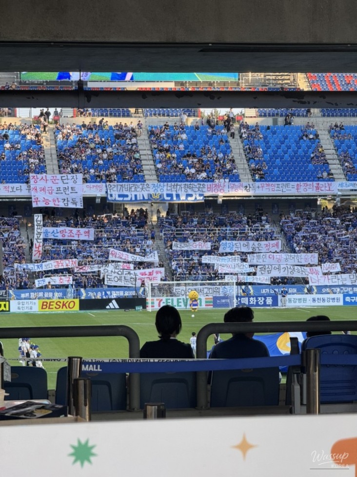 매력적인 사진