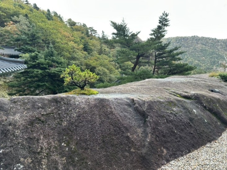 값진 경험