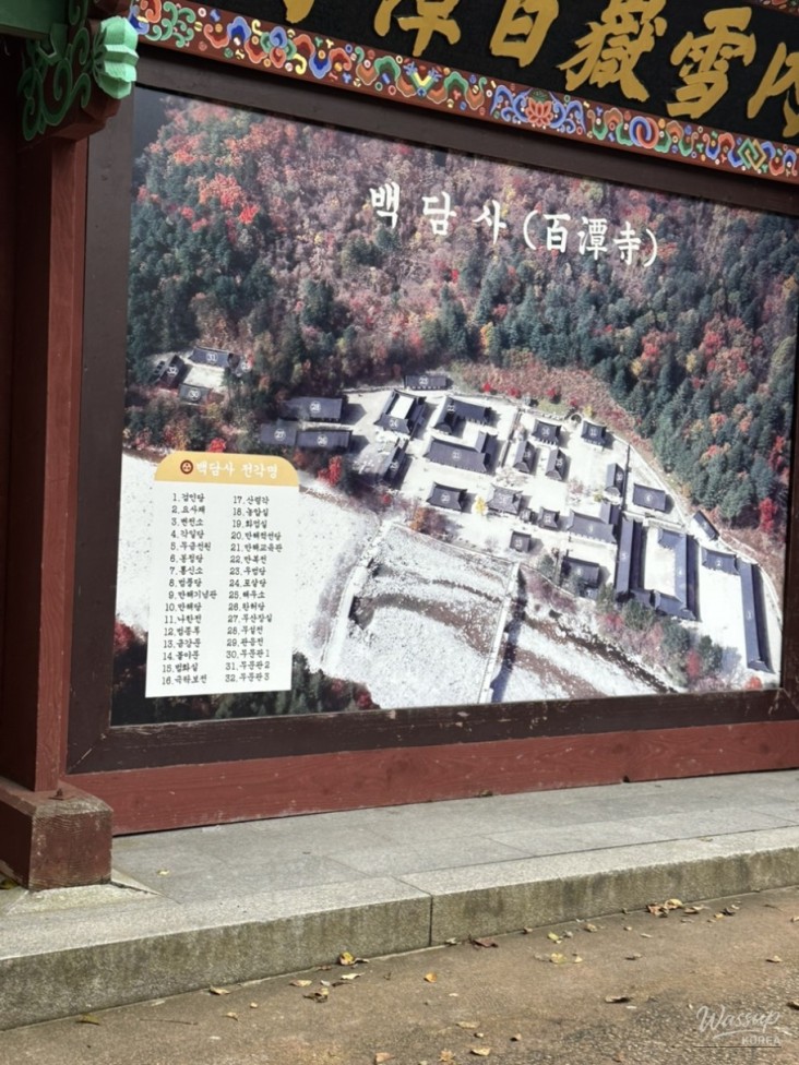 평화로운 풍경