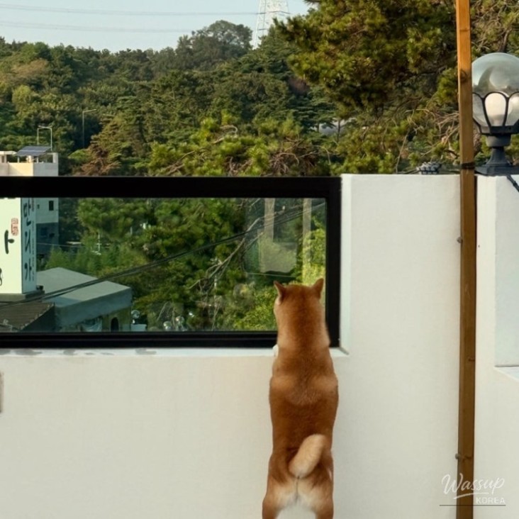 화려한 장면