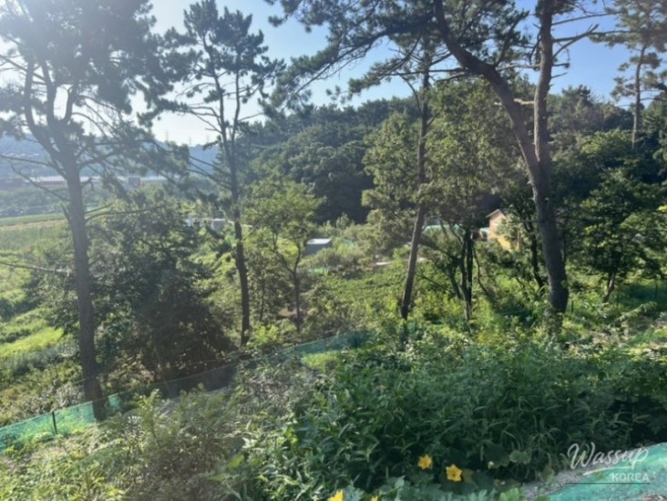 희망찬 내일