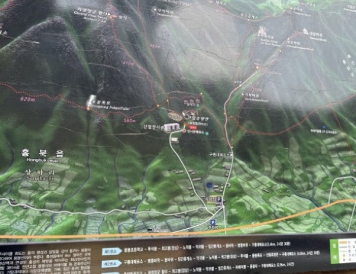 환상적인 장면