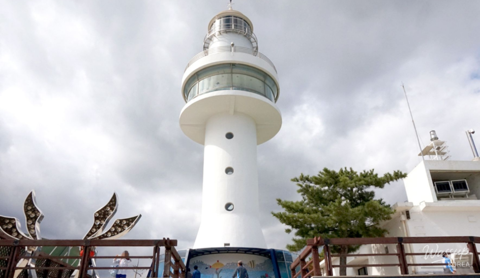 멋진 사진