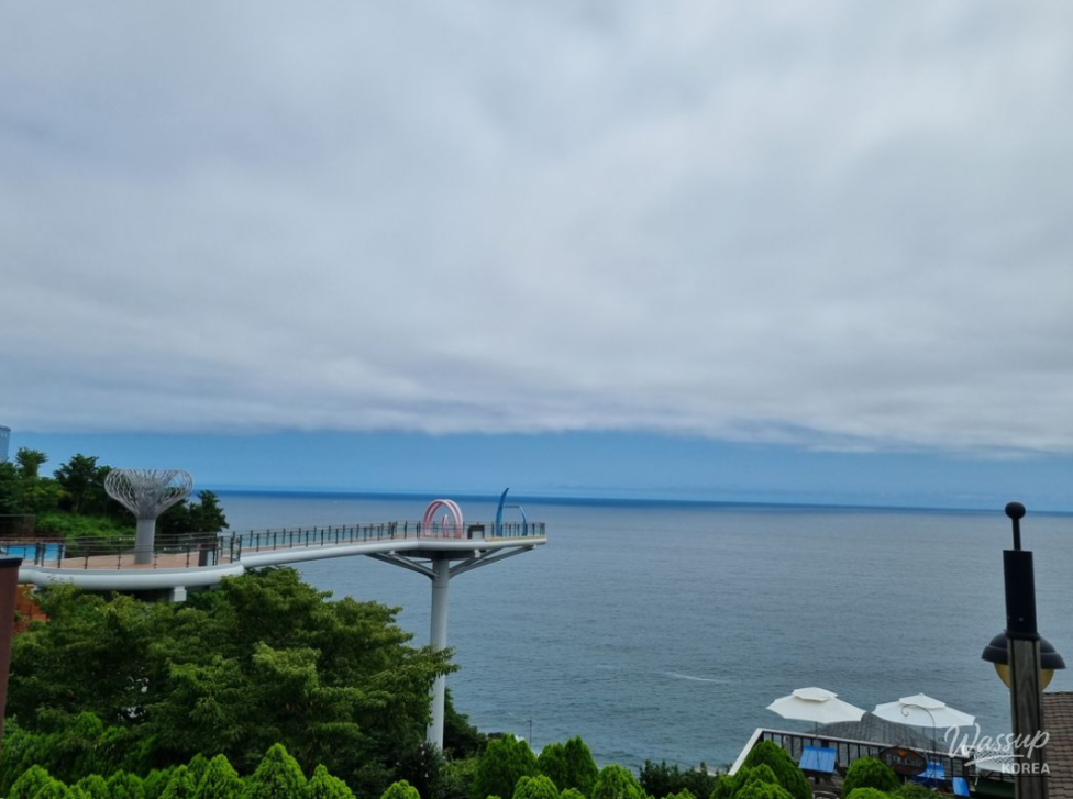 놀라운 광경