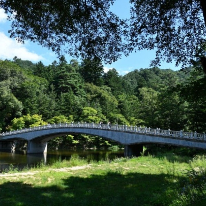 An impressive sight of the Octagonal Nine-Story Stone Pagoda standing tall in the center of Woljeongsa Temple