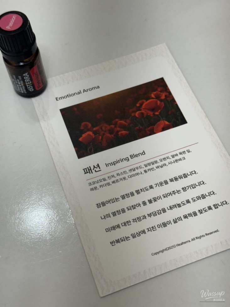 신비로운 모습