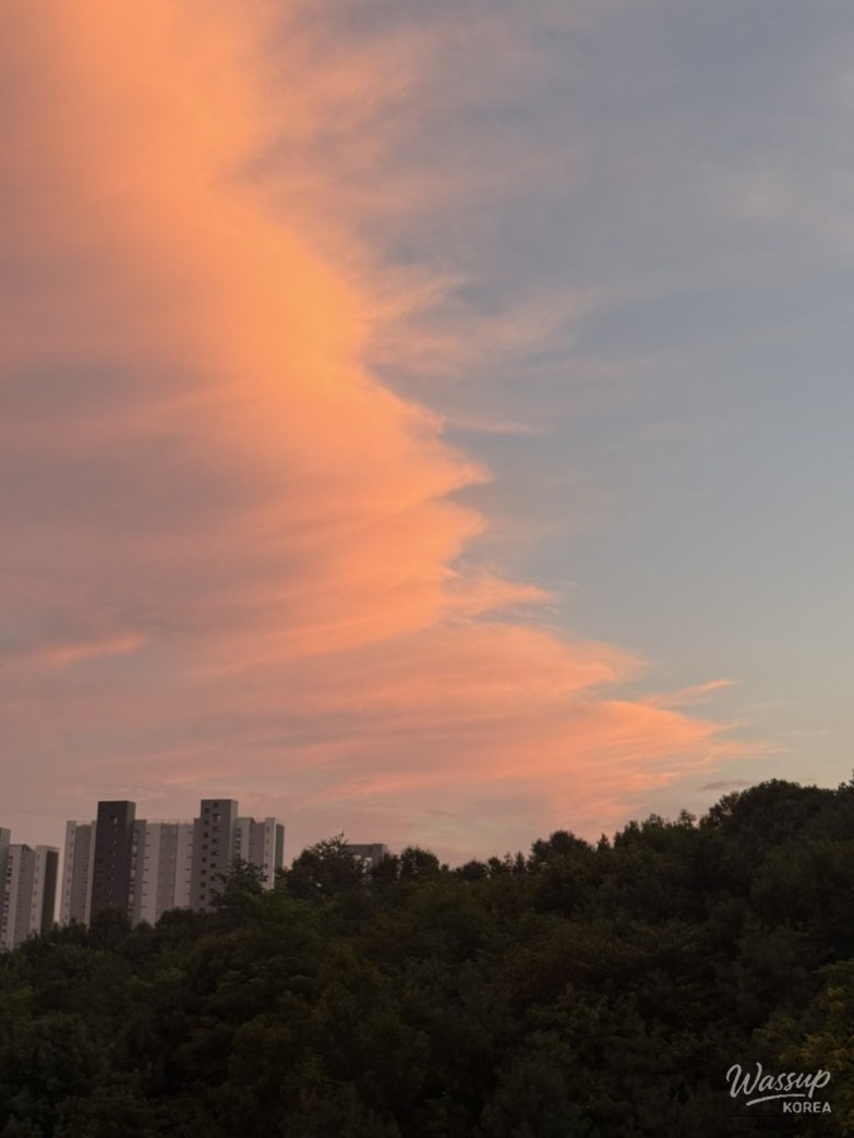 특별한 순간