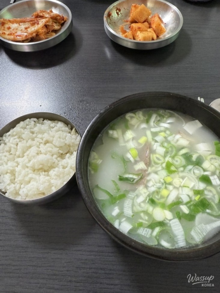 평화로운 풍경