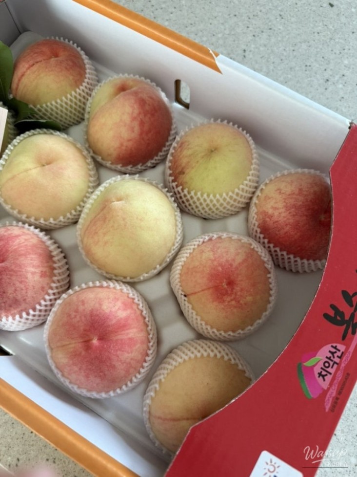 평화로운 풍경
