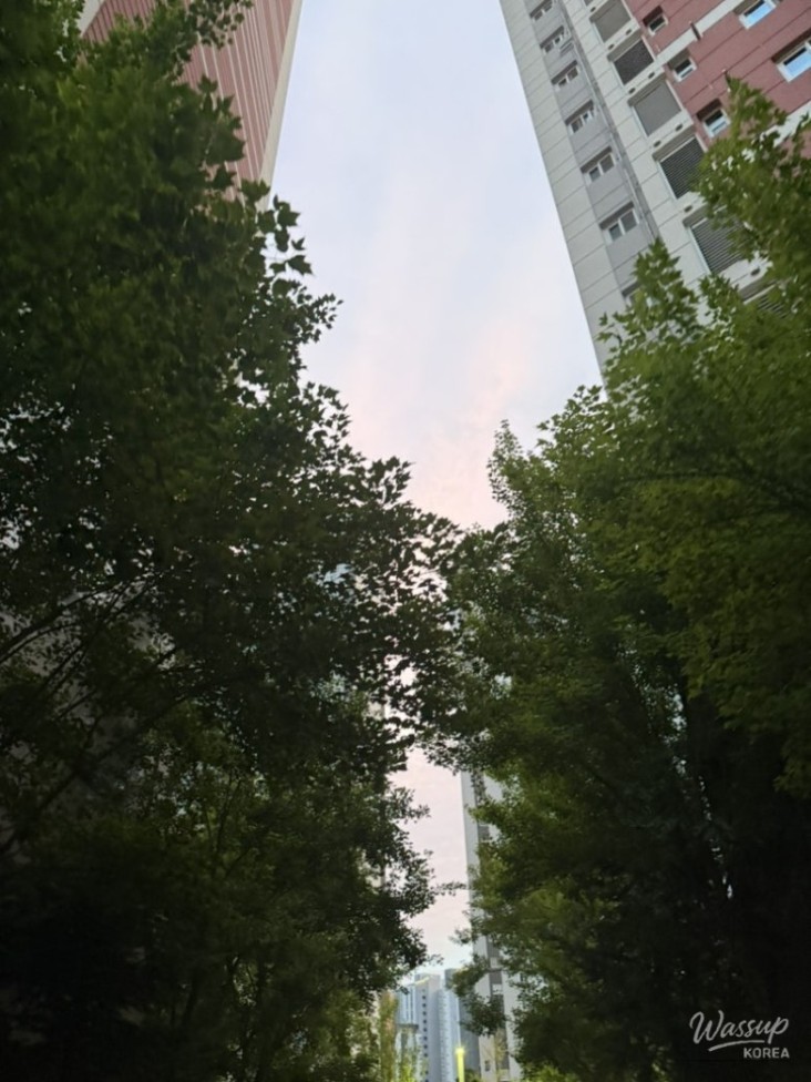 놀라운 광경