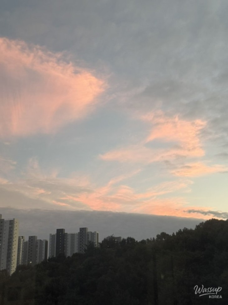 특별한 순간