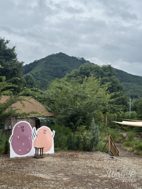 소중한 기억