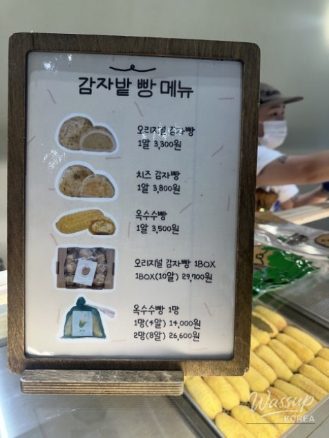 신비로운 모습