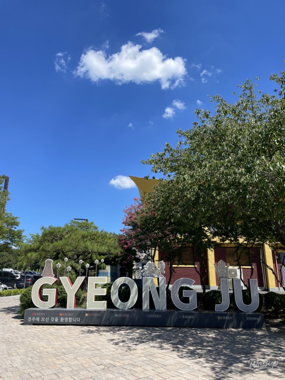 놀라운 광경