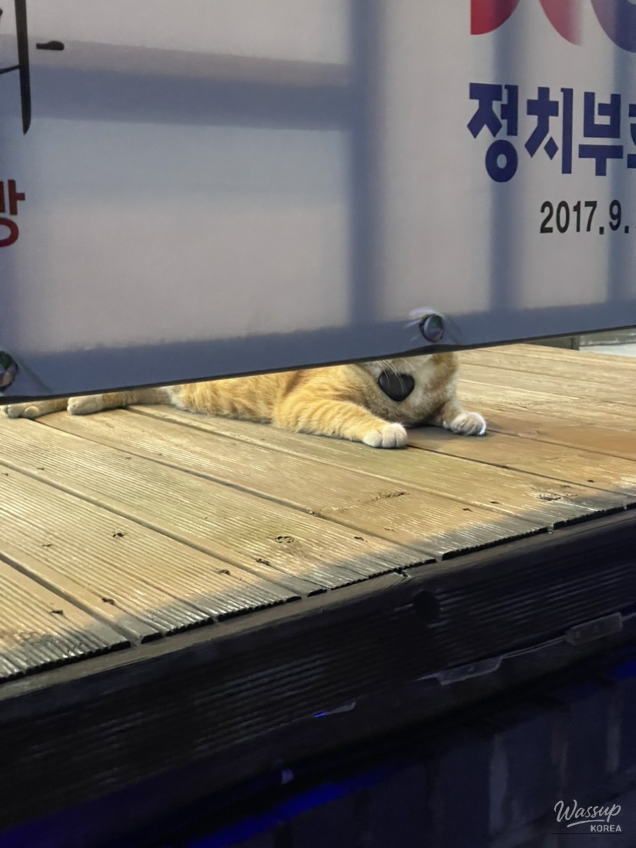 값진 경험