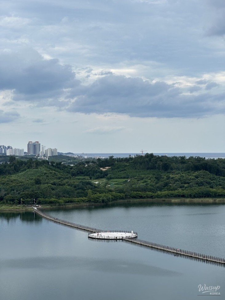 환상적인 장면