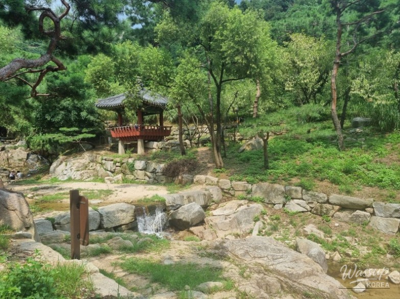 Splendid Scene