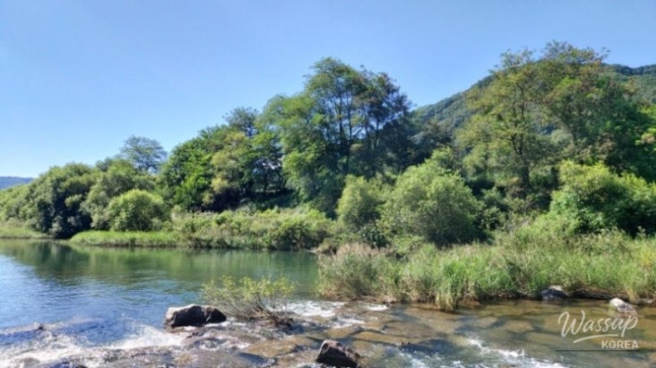 Peaceful scenery