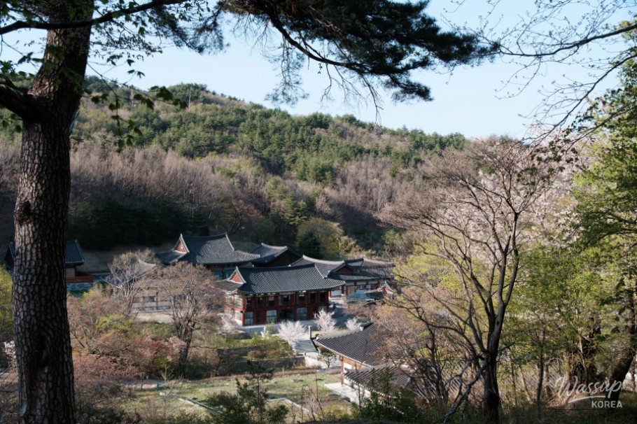 환상적인 장면