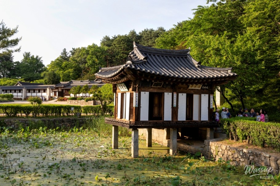 화려한 장면