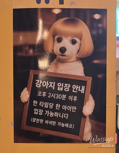 아름다운 풍경