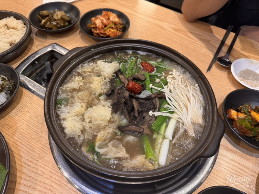 평화로운 풍경