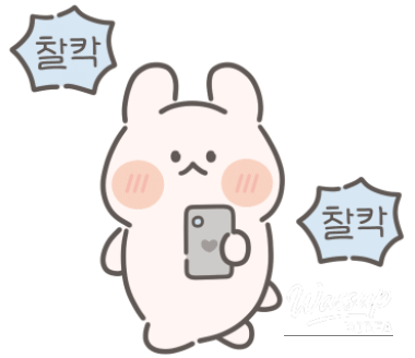 멋진 사진