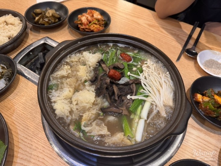 평화로운 풍경