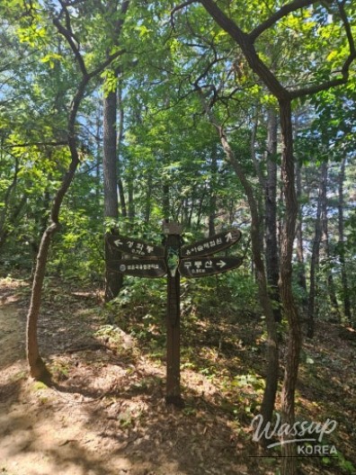 Mysterious appearance