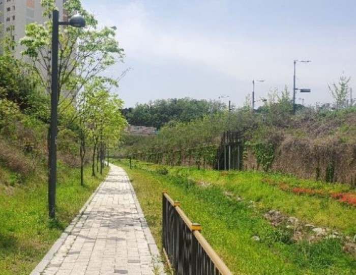 Discover the Healing Willow Mani Trail: A Hidden Gem at Jeil Punggyeongchae Centum Foret float