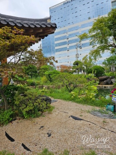감동적인 장면