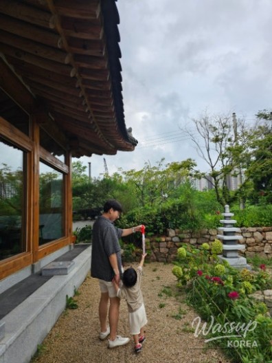 신비로운 모습