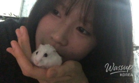 감동적인 장면