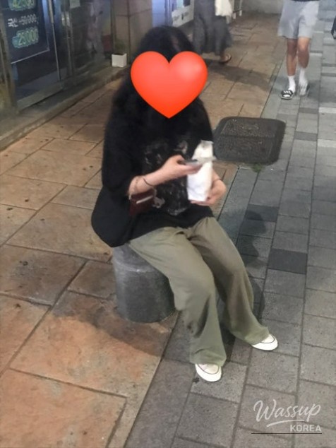 평화로운 풍경