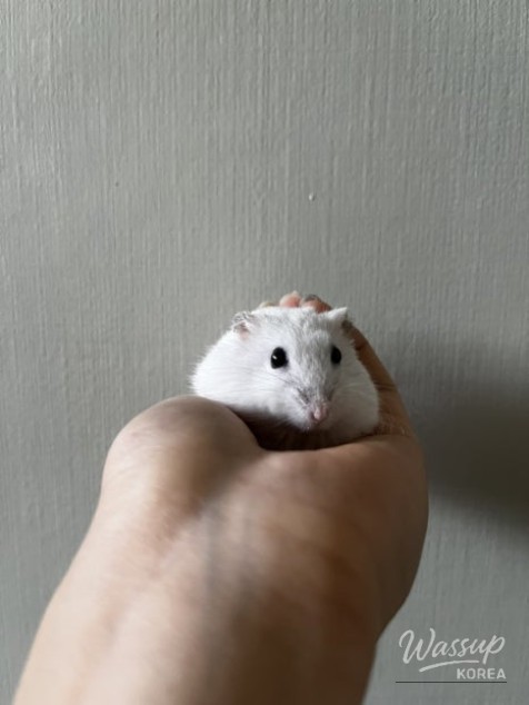 즐거운 순간