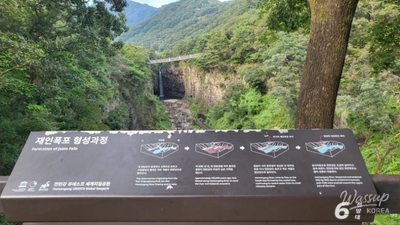 환상적인 장면