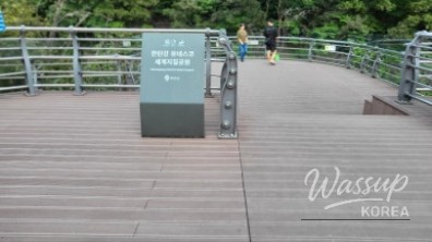 환상적인 장면