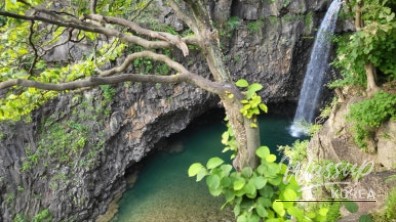 놀라운 광경