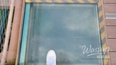 감동적인 장면