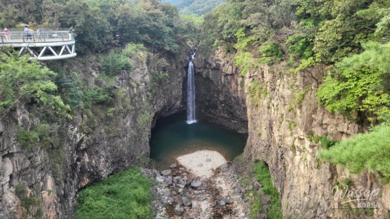 환상적인 장면