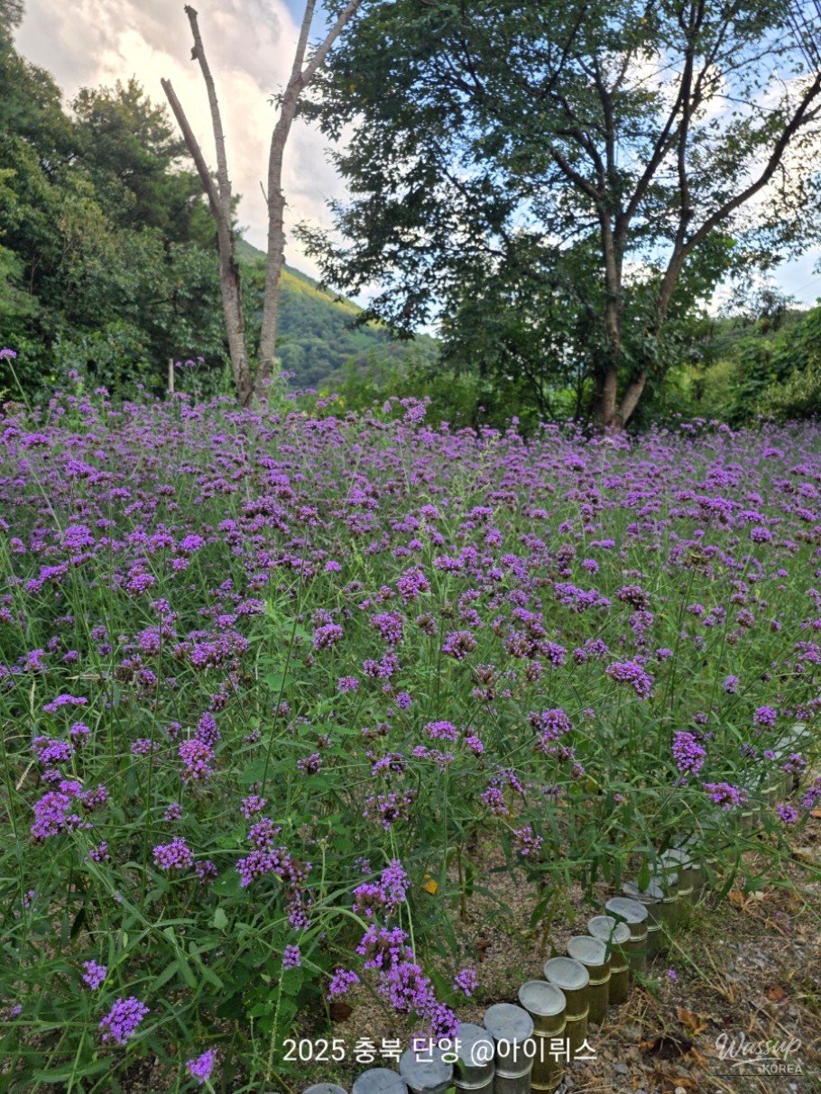 희망찬 내일