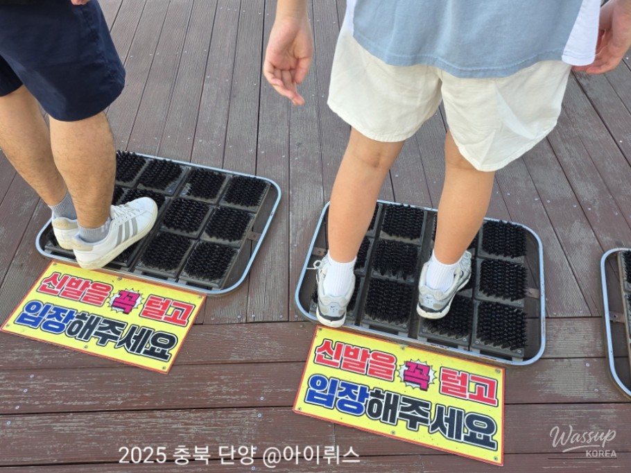 신비로운 모습