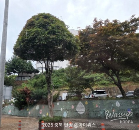 멋진 사진