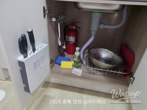 평화로운 풍경
